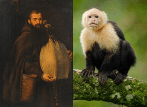 friar monkey